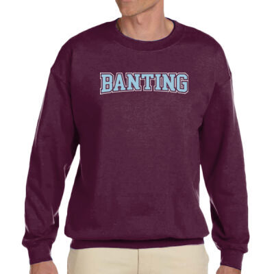 Banting Collegiate - Gildan Heavy Blend™ Crewneck Sweatshirt Thumbnail